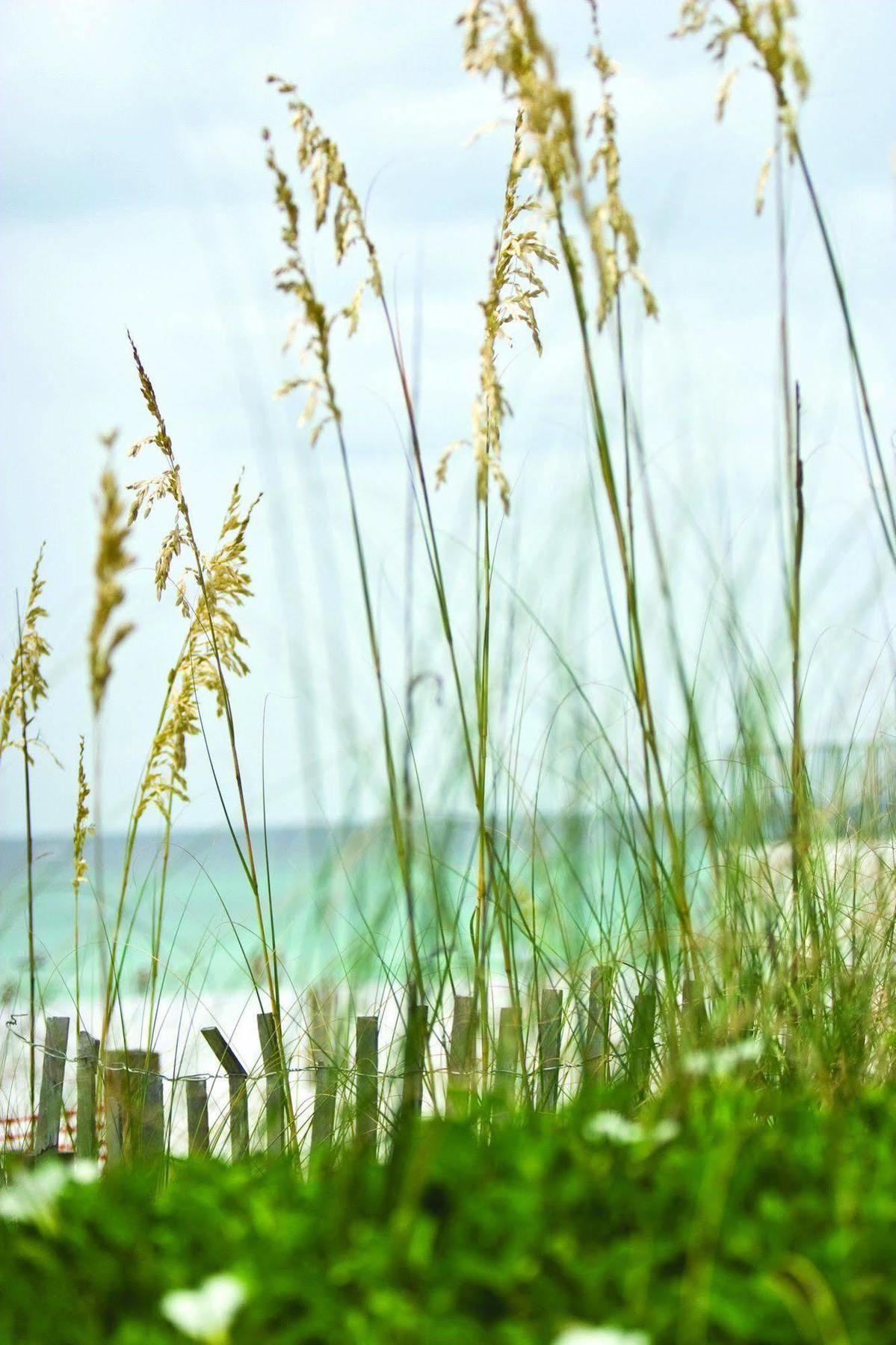 Club Wyndham Beach Street Cottages Miramar Beach Buitenkant foto